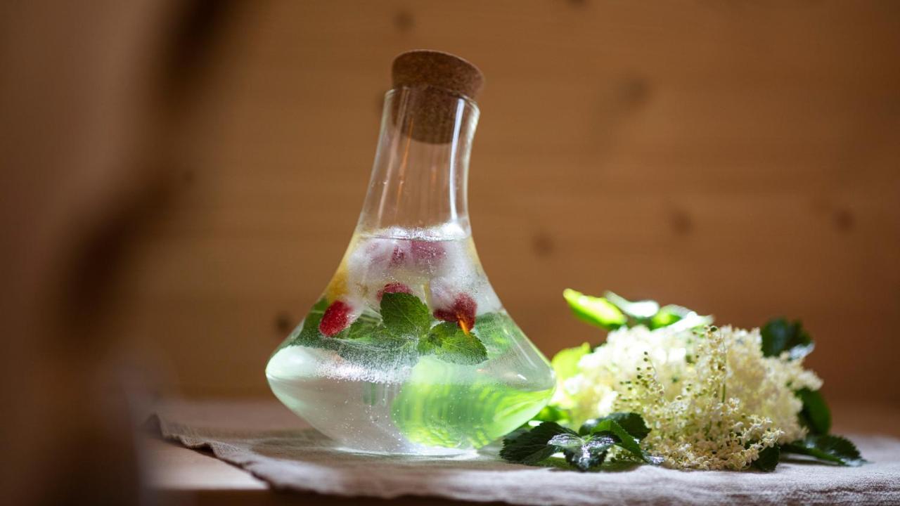 Natura Boutique Chalet Wellness Spa 도비아코 외부 사진